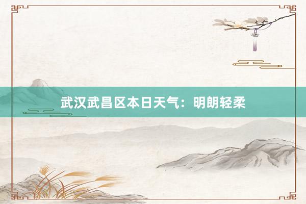 武汉武昌区本日天气：明朗轻柔