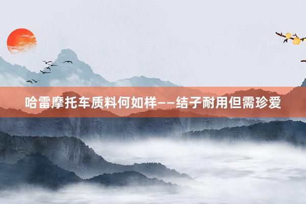 哈雷摩托车质料何如样——结子耐用但需珍爱