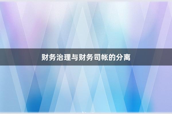 财务治理与财务司帐的分离
